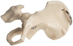 Hip Bone Keyring - 24046