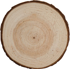 Natural Wooden Coaster - 24444