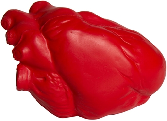 Anatomic Heart Squeezies Stress Reliever 